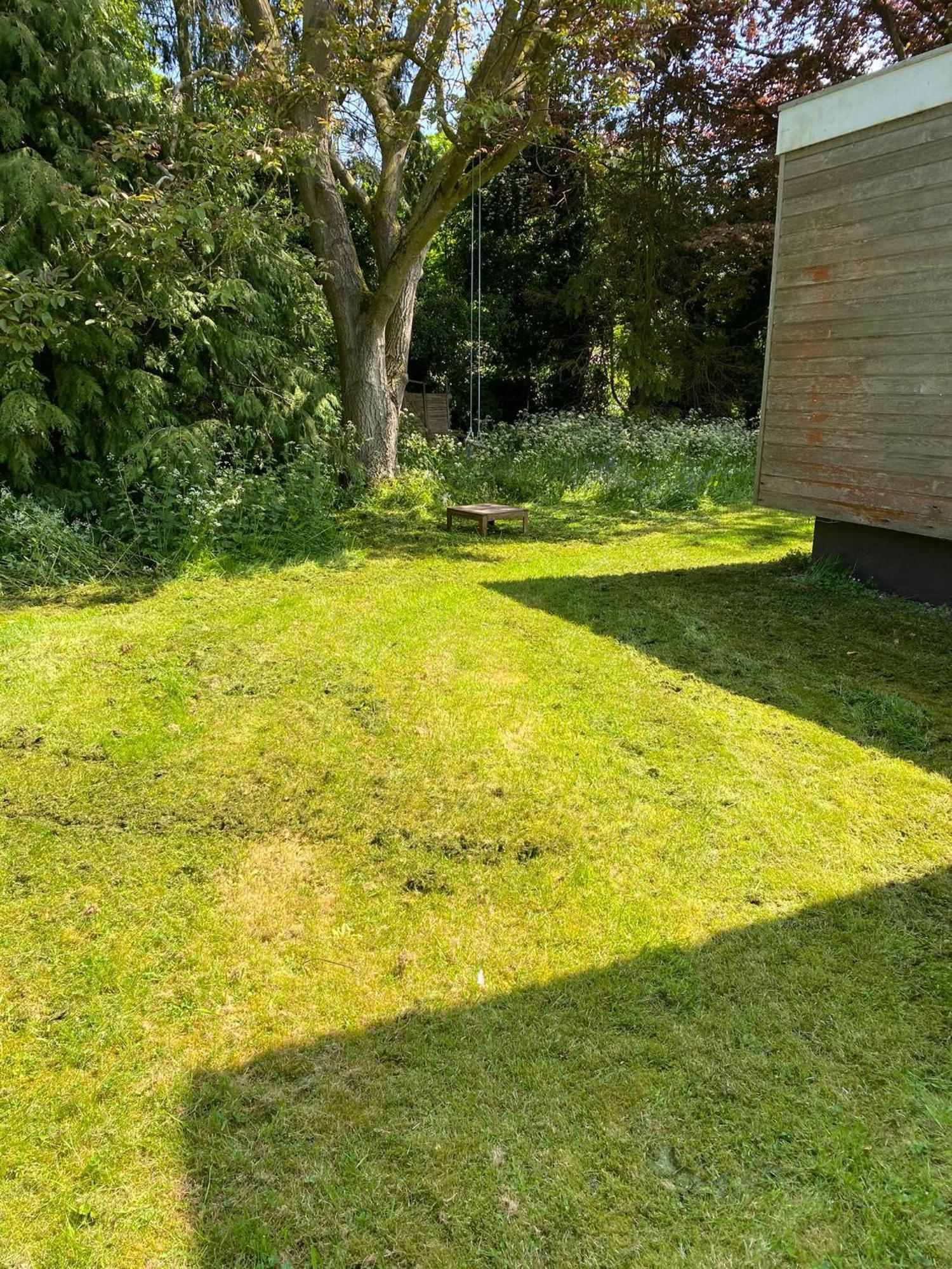 Wood Place Diss